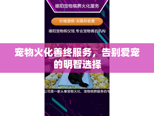 宠物火化善终服务，告别爱宠的明智选择