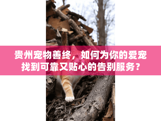 贵州宠物善终，如何为你的爱宠找到可靠又贴心的告别服务？