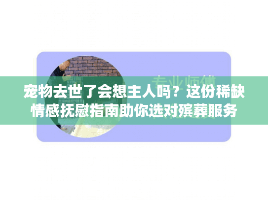 宠物去世了会想主人吗？这份稀缺情感抚慰指南助你选对殡葬服务