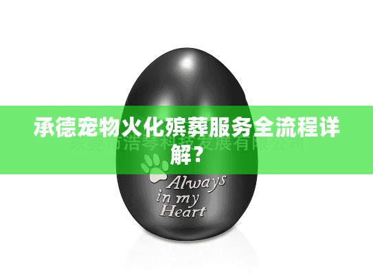 承德宠物火化殡葬服务全流程详解？
