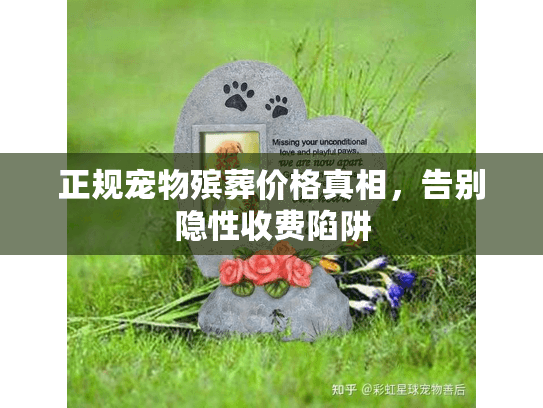 正规宠物殡葬价格真相，告别隐性收费陷阱