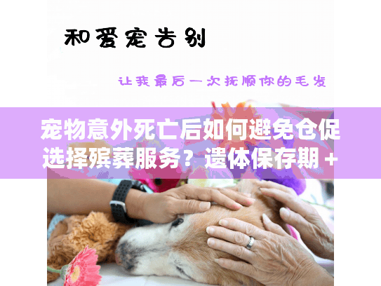 宠物意外死亡后如何避免仓促选择殡葬服务？遗体保存期＋费用陷阱指南