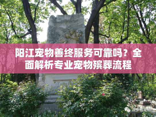 阳江宠物善终服务可靠吗？全面解析专业宠物殡葬流程