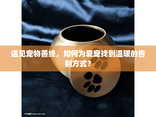 遇见宠物善终，如何为爱宠找到温暖的告别方式？