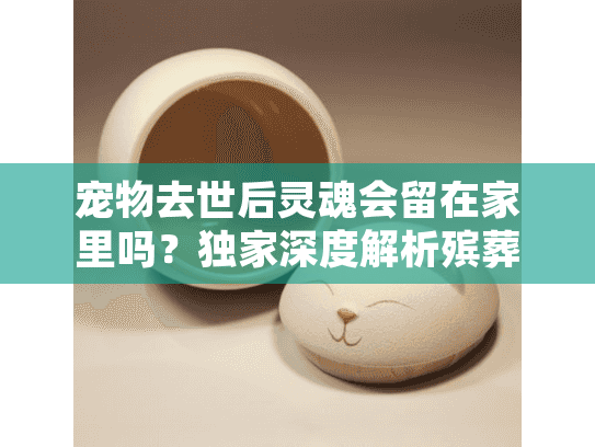 宠物去世后灵魂会留在家里吗？独家深度解析殡葬服务选择智慧