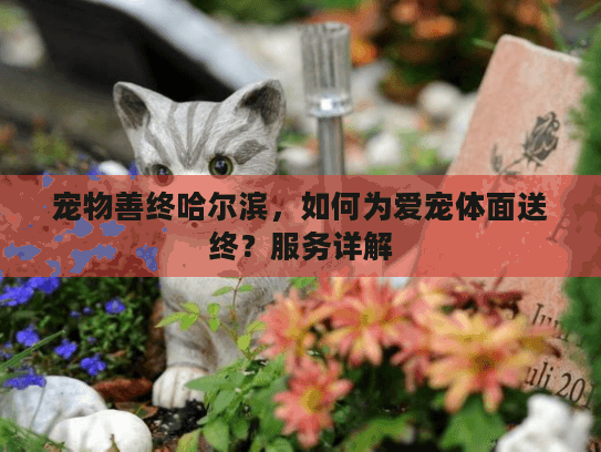 宠物善终哈尔滨，如何为爱宠体面送终？服务详解