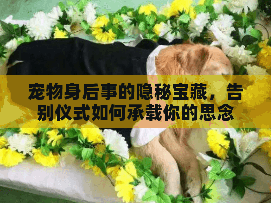宠物身后事的隐秘宝藏，告别仪式如何承载你的思念