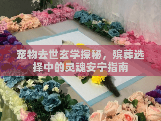 宠物去世玄学探秘，殡葬选择中的灵魂安宁指南