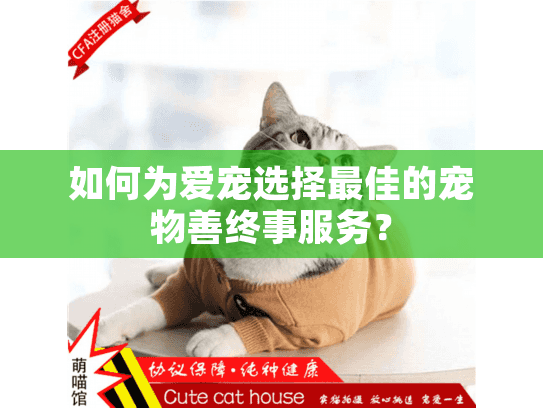如何为爱宠选择最佳的宠物善终事服务？