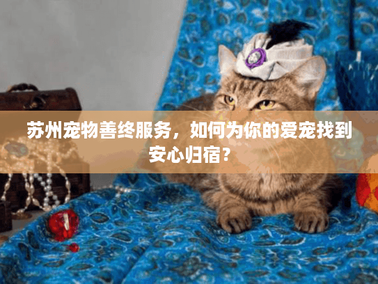 苏州宠物善终服务，如何为你的爱宠找到安心归宿？