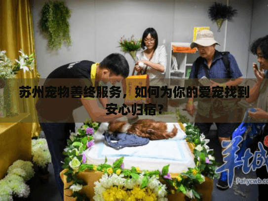 苏州宠物善终服务，如何为你的爱宠找到安心归宿？