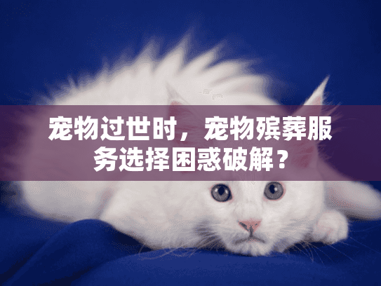 宠物过世时，宠物殡葬服务选择困惑破解？