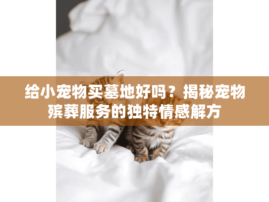 给小宠物买墓地好吗？揭秘宠物殡葬服务的独特情感解方