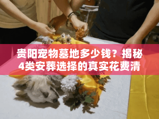 贵阳宠物墓地多少钱？揭秘4类安葬选择的真实花费清单