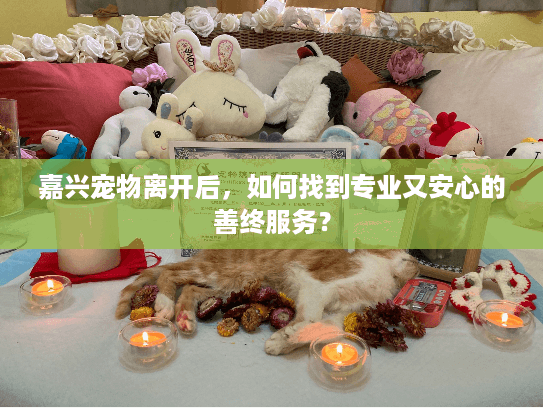 嘉兴宠物离开后，如何找到专业又安心的善终服务？