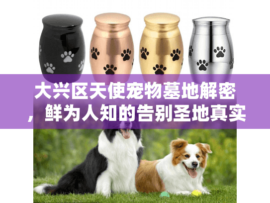 大兴区天使宠物墓地解密，鲜为人知的告别圣地真实体验