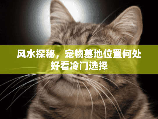 风水探秘，宠物墓地位置何处好看冷门选择