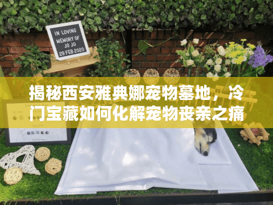 揭秘西安雅典娜宠物墓地，冷门宝藏如何化解宠物丧亲之痛