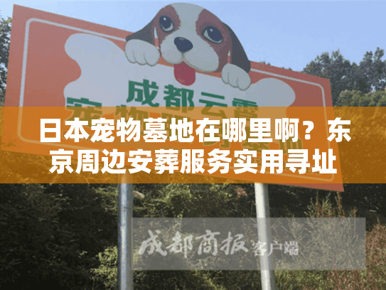 日本宠物墓地在哪里啊？东京周边安葬服务实用寻址策略