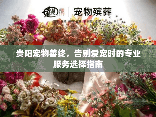 贵阳宠物善终，告别爱宠时的专业服务选择指南