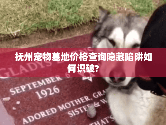 抚州宠物墓地价格查询隐藏陷阱如何识破?