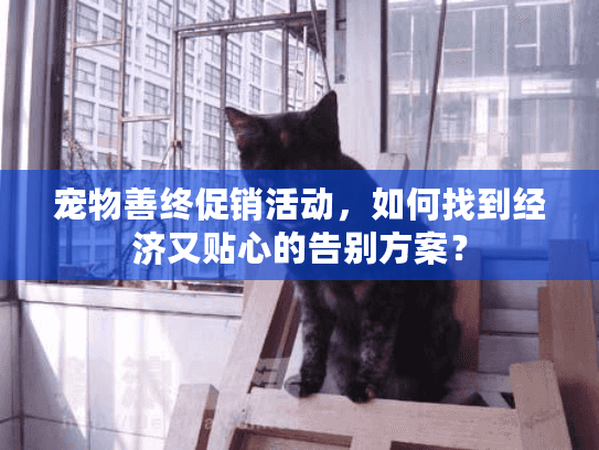 宠物善终促销活动，如何找到经济又贴心的告别方案？