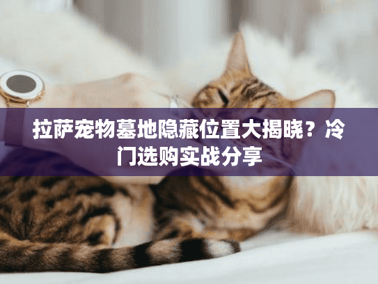 拉萨宠物墓地隐藏位置大揭晓？冷门选购实战分享