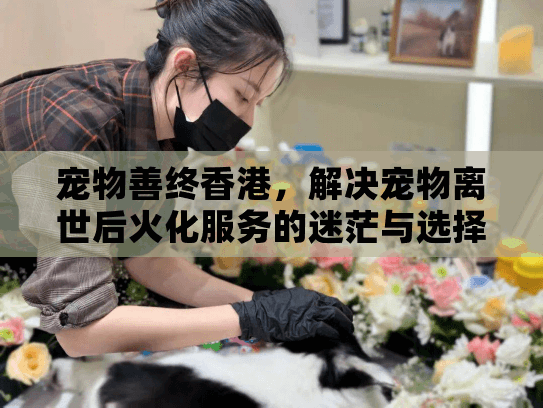 宠物善终香港，解决宠物离世后火化服务的迷茫与选择困难