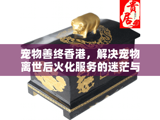 宠物善终香港，解决宠物离世后火化服务的迷茫与选择困难