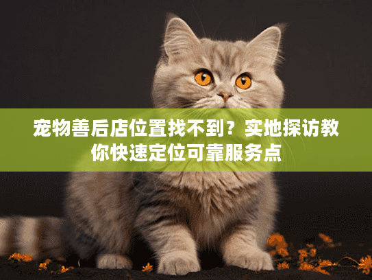 宠物善后店位置找不到？实地探访教你快速定位可靠服务点