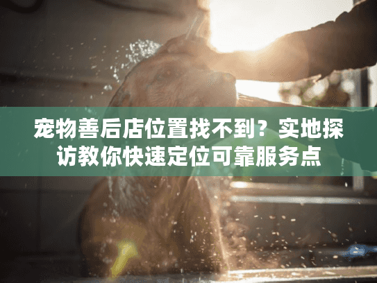 宠物善后店位置找不到？实地探访教你快速定位可靠服务点