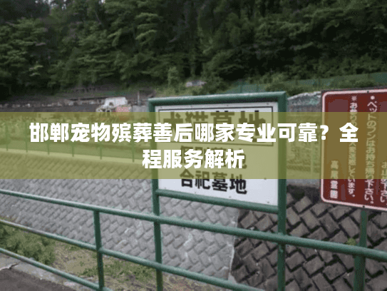 邯郸宠物殡葬善后哪家专业可靠？全程服务解析