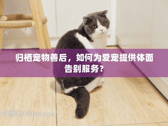 归栖宠物善后，如何为爱宠提供体面告别服务？