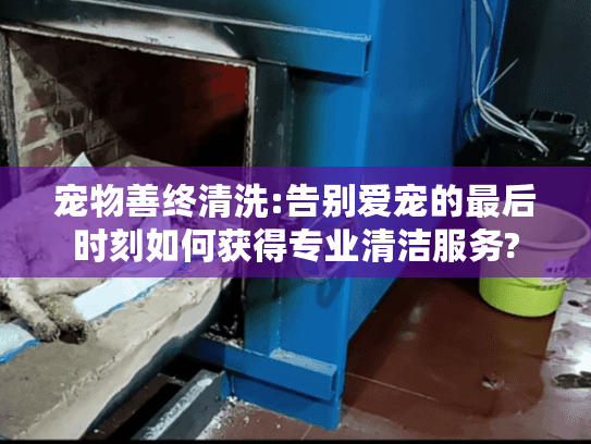 宠物善终清洗:告别爱宠的最后时刻如何获得专业清洁服务?