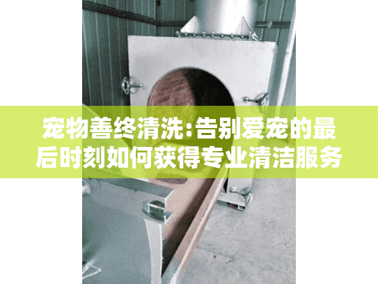 宠物善终清洗:告别爱宠的最后时刻如何获得专业清洁服务?