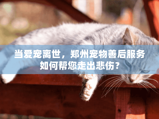 当爱宠离世，郑州宠物善后服务如何帮您走出悲伤？