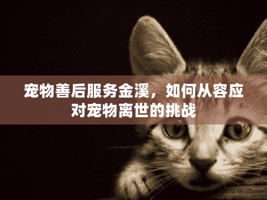 宠物善后服务金溪，如何从容应对宠物离世的挑战
