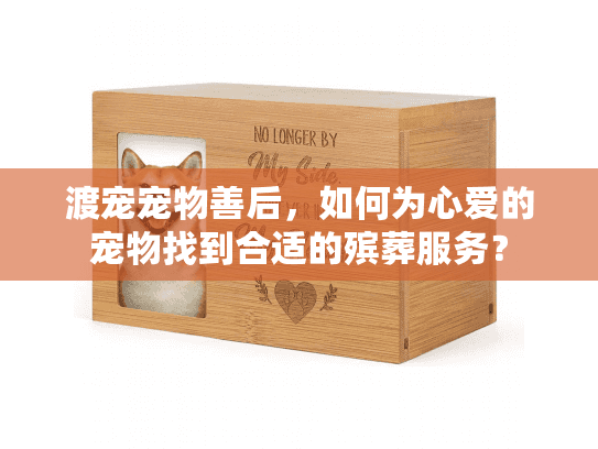 渡宠宠物善后，如何为心爱的宠物找到合适的殡葬服务？