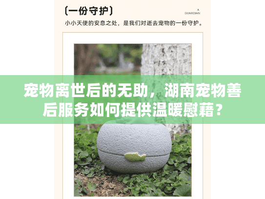 宠物离世后的无助，湖南宠物善后服务如何提供温暖慰藉？