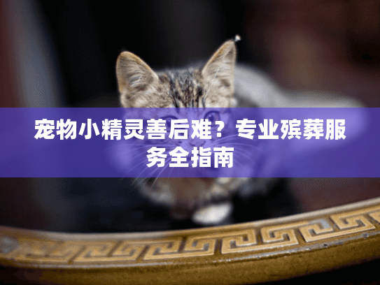 宠物小精灵善后难？专业殡葬服务全指南