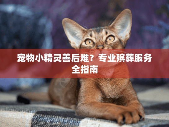 宠物小精灵善后难？专业殡葬服务全指南