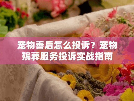 宠物善后怎么投诉？宠物殡葬服务投诉实战指南
