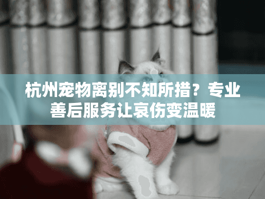 杭州宠物离别不知所措？专业善后服务让哀伤变温暖