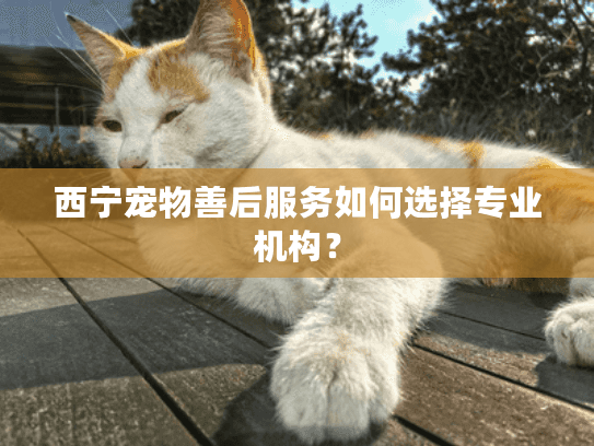 西宁宠物善后服务如何选择专业机构？
