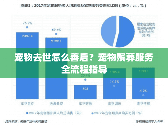 宠物去世怎么善后？宠物殡葬服务全流程指导