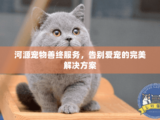 河源宠物善终服务，告别爱宠的完美解决方案