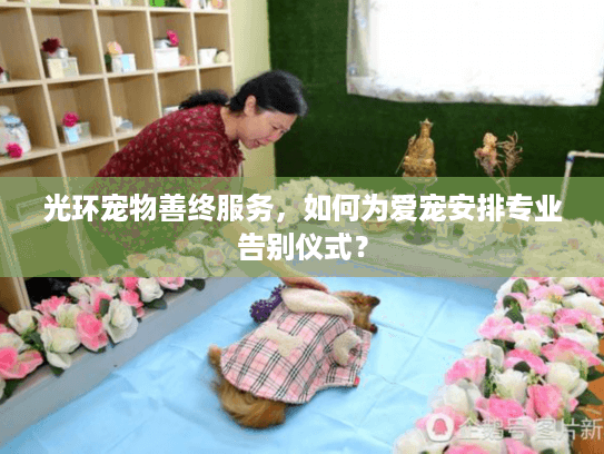 光环宠物善终服务，如何为爱宠安排专业告别仪式？