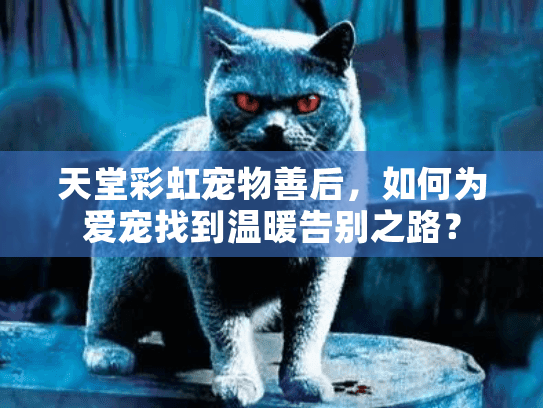 天堂彩虹宠物善后，如何为爱宠找到温暖告别之路？
