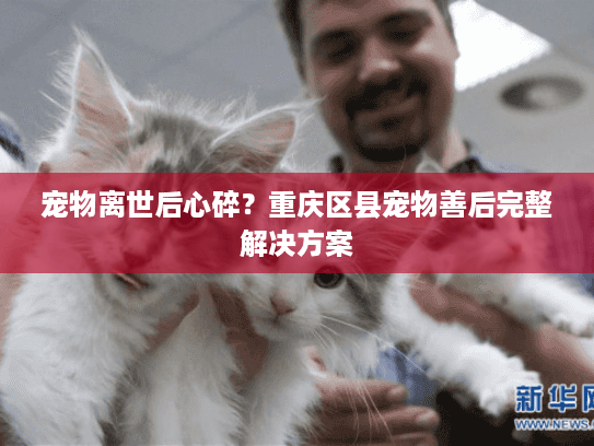 宠物离世后心碎？重庆区县宠物善后完整解决方案