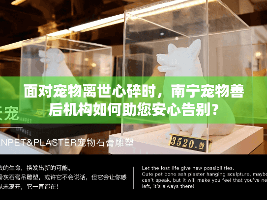 面对宠物离世心碎时，南宁宠物善后机构如何助您安心告别？